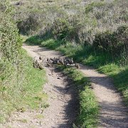 CoastCamp 146 : CoastCamp